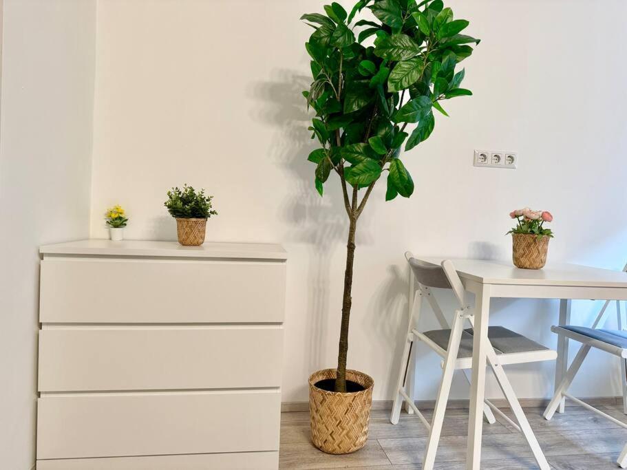 Easy Suites - Free Underground Parking Vienne Extérieur photo
